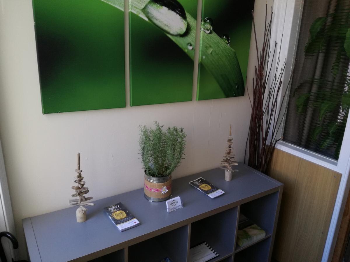 Driftwood B&B Weymouth Extérieur photo